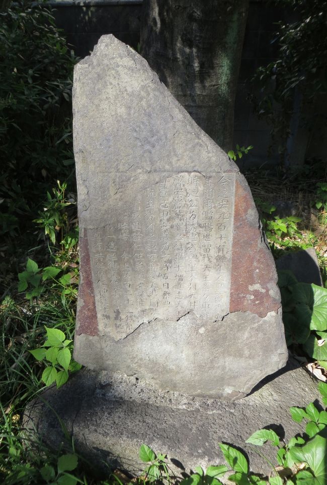 『今遠去九百十有余年人皇六十(欠落)年間爾濫腸世留我天王祭々車(欠落)』で始まる碑文です。最初の方には、『公方秀忠公」の名前が、末尾に近いところに、『今上第百二十三代』の文字がありましたから、大正時代の記念碑文のようでした。取り敢えず、推測で当てはめてみた、『笹社』の代理に置かれた石碑です。『笹社境内祭神(祭日)』の案内看板にも、『笹社』の箇所に、この記念碑のことが記されていました。