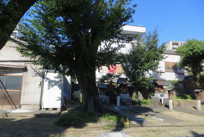 笹社の境内光景です。『笹社境内祭神(祭日)』のタイトルがあった案内看板には、石碑は、財団法人元富江町天王祭々事保存会設立を記念してあってられたと記されていました。