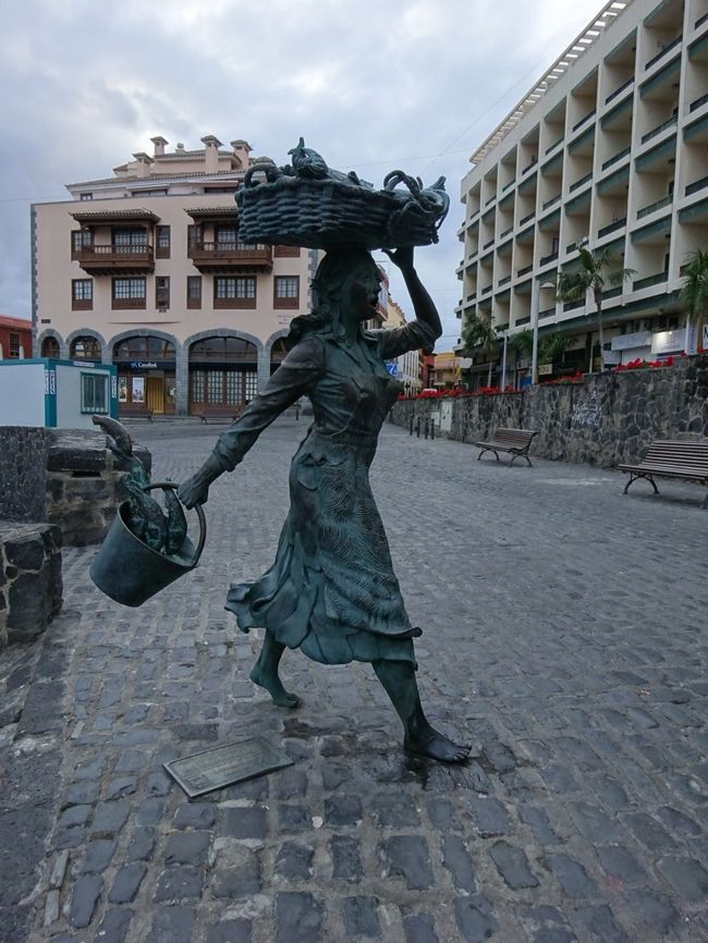 朝どれのお魚を下げて、お店に急ぐ女性。