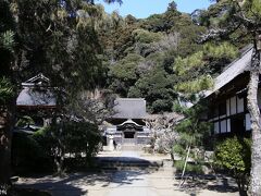 円覚寺　舎利殿（国宝）

舎利殿の前にも梅の木がありますが、まだ、あまり咲いていないように見えました。

舎利殿は、鎌倉時代に中国から伝えられた様式を代表する建物で、源実朝が宋の能仁寺から請来した「佛牙舎利」というお釈迦様の歯が祀られています。