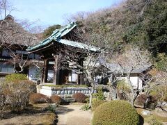 海蔵寺の境内

こちらの梅の花は、まだこれからのようです。

