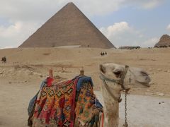 そんなことを考えていたら
タクシーの客引きが声を掛けてきました。
ギザのピラミッドまでどう？

本当は２０エジプトポンドくらいから
交渉しようと思っていたのに・・・
昔を懐かしく思っていたせいか
思わず５０なんて言っちゃいました。もちろんＯＫ！

一度言ってしまったので男に二言はありません。
片道５０エジプトポンドで２５年ぶりにピラミッドへ。