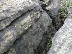 島の東の方にある祖納地区へ向かうバスの出発まで時間がありましたので、久部良地区をぶらり。
写真は久部良バリと呼ばれる、岩のクレバス。昔、人口減少させるために妊婦に飛ばせていたと呼ばれる場所。走り幅跳びの選手が超えられそうなくらいの幅ですので、妊婦が飛び越えるのは不可能だったのではと思いました。