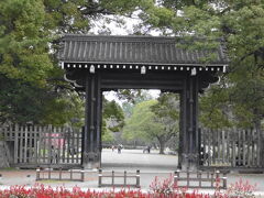 京都の桜は全般的にまだまだこれから。京都御苑は少し咲いているとのことで、寄ってみました。
