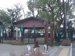 梅屋敷公園には、相撲の土俵あるので見に行きました。工事中？
　どこかの公園に移設される？