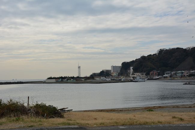エメラルドグリーンの海と寒桜観賞 横須賀観音崎 鴨居 横須賀 神奈川県 の旅行記 ブログ By おかチャンさん フォートラベル エメラルドグリーンの海と寒桜観賞 横須賀観音崎 鴨居 横須賀 神奈川県 の旅行記 ブログ By おかチャンさん フォートラベル