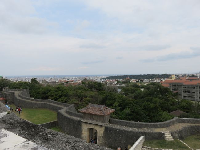 頂上から見た眺め。