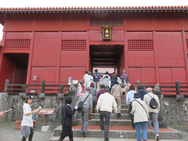 ここから城内を見学できました。