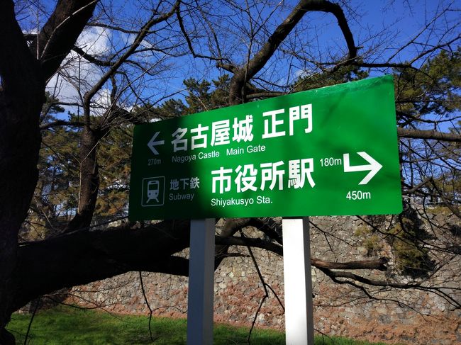 続けて、近隣の「名古屋城」にも行ってみました。<br /><br />市役所駅から案内板に沿って歩きましたが、正門まで約２０分…遠いよ…<br />