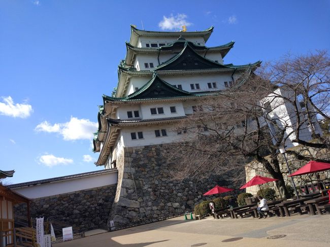 中国や韓国からの観光客が多かった感じですね。<br /><br />