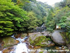 白妙の滝

白谷雲水峡の入り口部分から見える滝です。


白妙の滝：http://www.yakushima-info.com/yakushima/shirataniunsuikyo/forest02.html