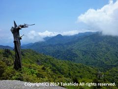 太鼓岩

白谷雲水峡周遊コースの終点です。そのまま直進すると、縄文杉コースのトロッコ道に抜けることができます。