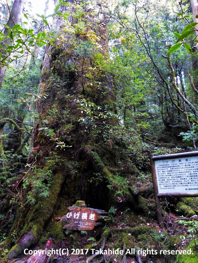 屋久島』屋久島(鹿児島県)の旅行記・ブログ by Takahideさん
