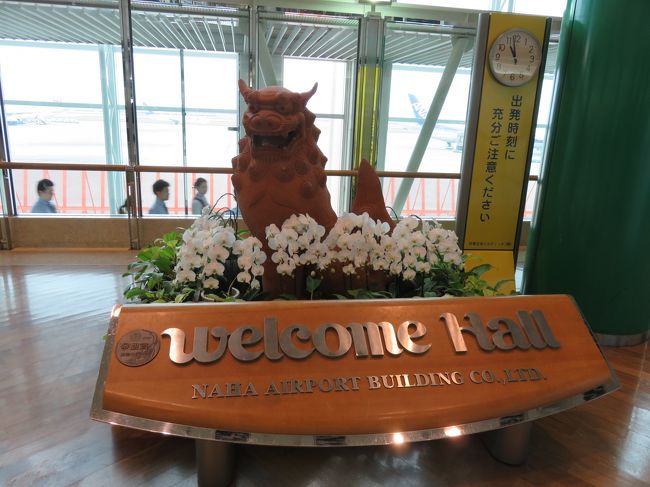 首里城観光後、那覇空港に戻ってきました。