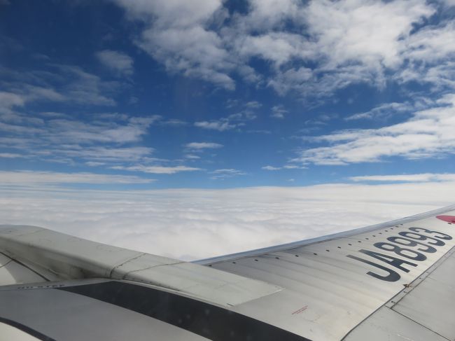 昼の飛行機で名古屋に帰りました。<br />3泊4日で沖縄を十分に満喫できました。<br />沖縄は日本とはいっても文化が全然違いますね。<br />新鮮な気持ちで旅行できました(^^♪