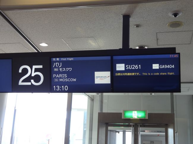 アエロフロートロシアで、まずは乗り継ぎ地のロシアへ向かいます。<br />飛行時間はおよそ１０時間。