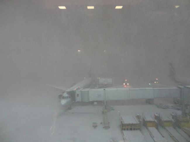少し後にこのホワイトアウト状態に！<br /><br />出るのか？？？飛行機？？？<br />ロシアは毎日こんな感じなのか？？？<br /><br />やはり２時間ほど出発が遅れました…。<br />飛行機出てよかったー