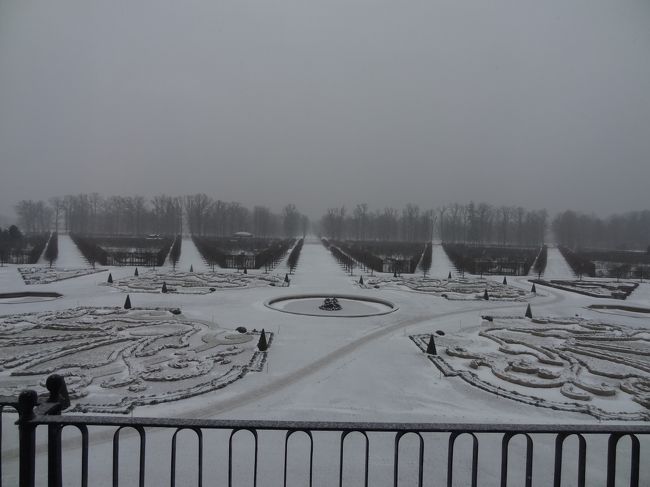 バルコニーから見えるお庭