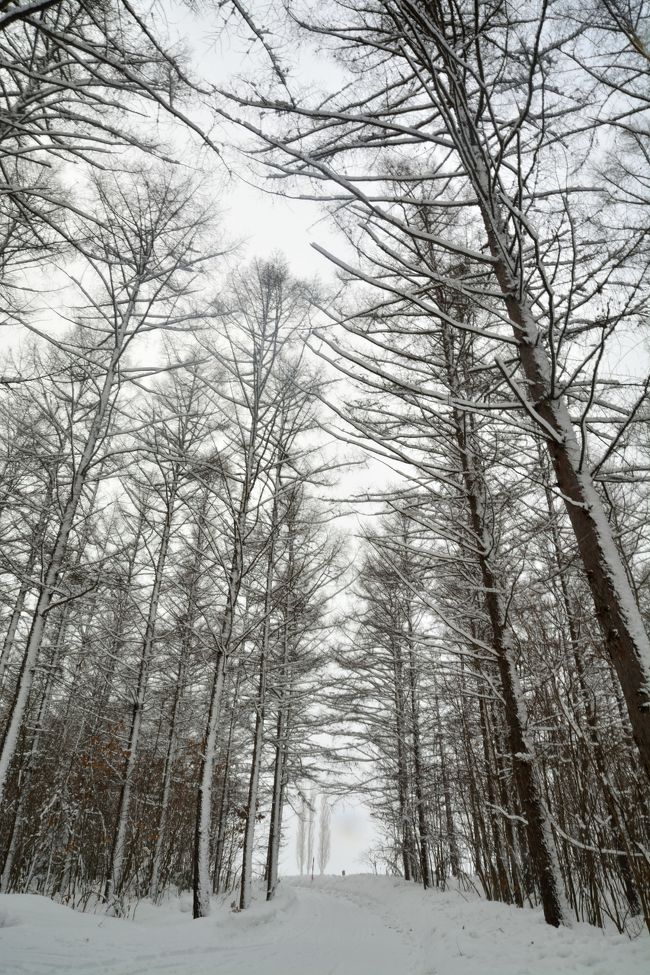 さすがにこの天気では誰もいませんね。