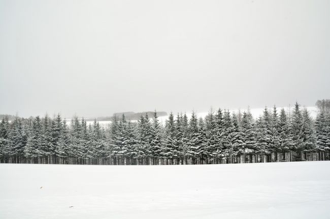何かこの景色が好き。