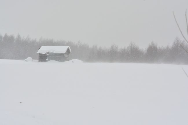 吹雪の中、踏ん張り続ける小屋。