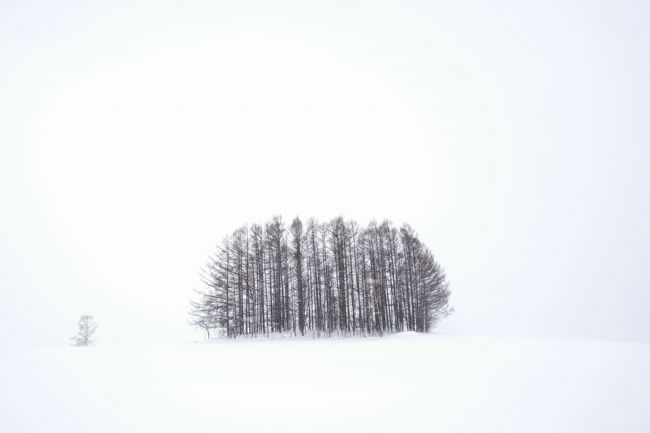 寂しそうに佇んでますね。