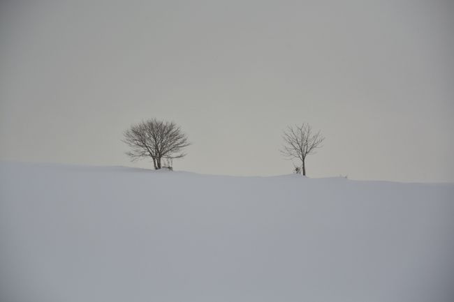天気は回復に向かってるようです。