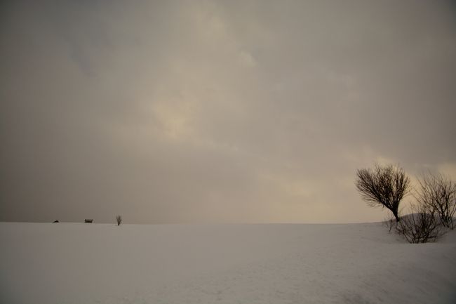 寂しい風景ですが何かイイですね。