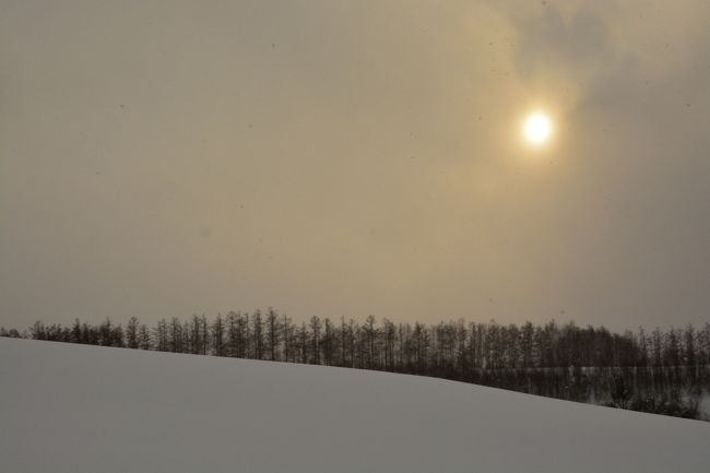 仕方なく夕焼けっぽい色にしてみましたシリーズNo.1