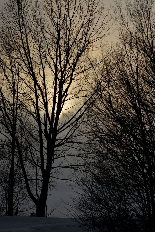 仕方なく夕焼けっぽい色にしてみましたシリーズNo.2