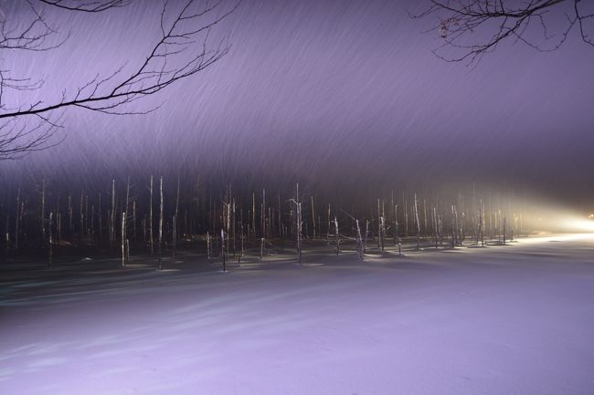 んー<br />一年ぶり！