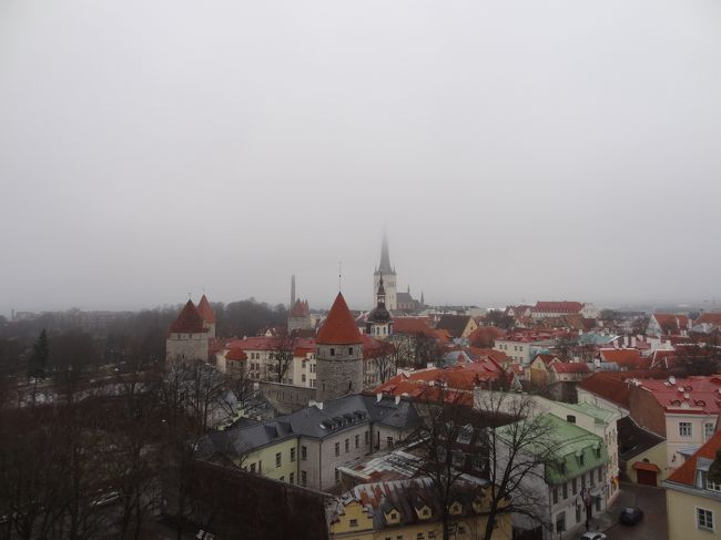 展望台から。<br />