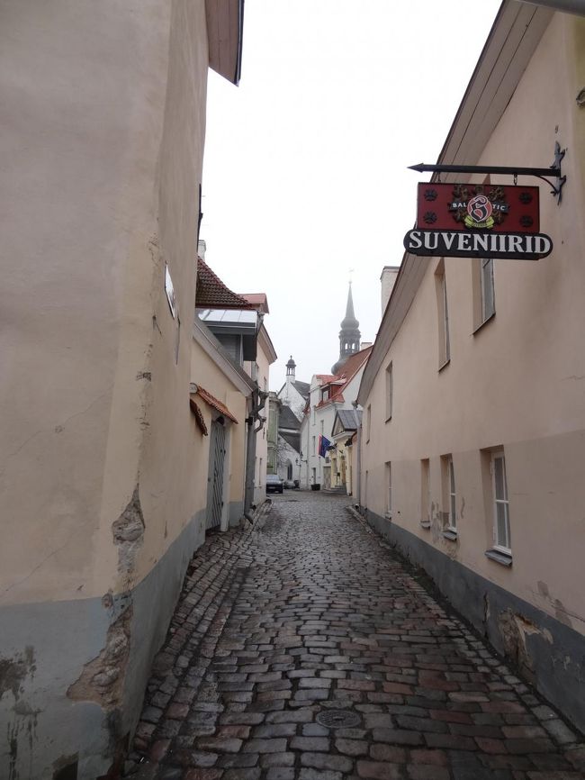 もう少し上にある展望台へ向かいます。