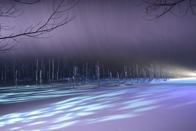 一年前に初めてここに来たときよりは冷静になれました。