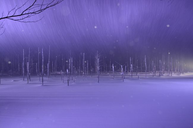 更に今回は前回と違って雪が舞ってます。