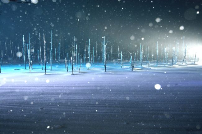 こんな画まで撮れる余裕があります。