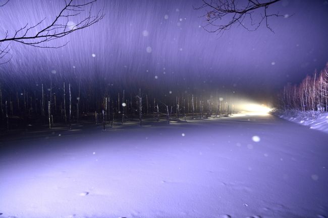 癒されますねー。