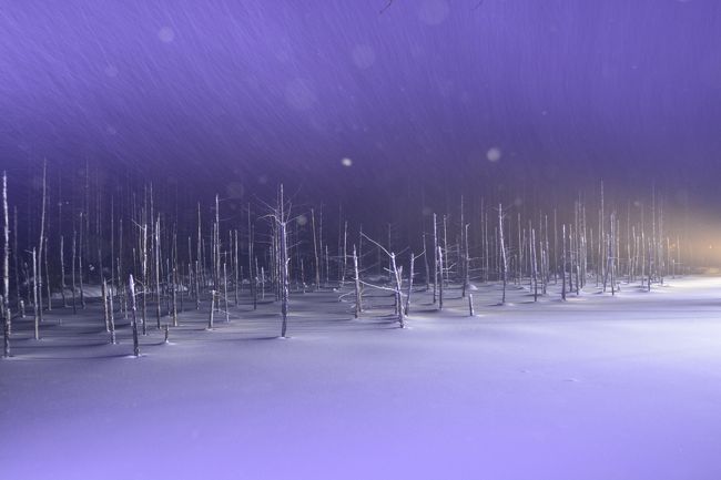 寒さも吹っ飛ぶ青い池。