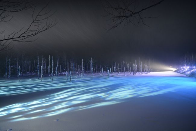 角度を変えて。<br />降り注ぐ雪をめがけて照らす光。