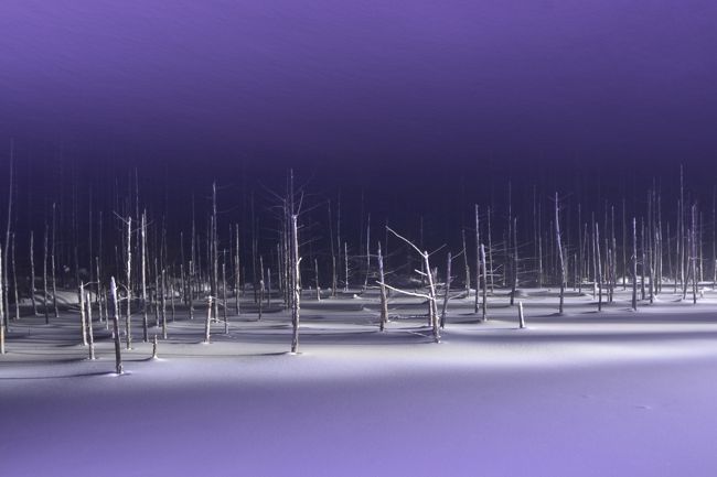 自然と人工の融合。