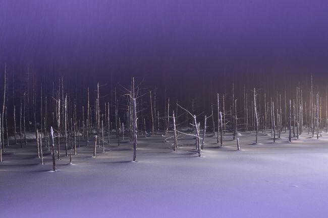 降り注ぐ雪を表現する事に必死です。