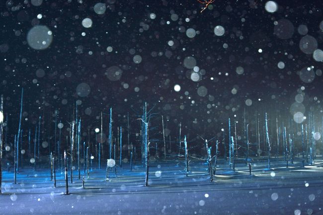 すみません、色んな表情があって写真を絞れませんでした。<br />続きますがご容赦下さい…。