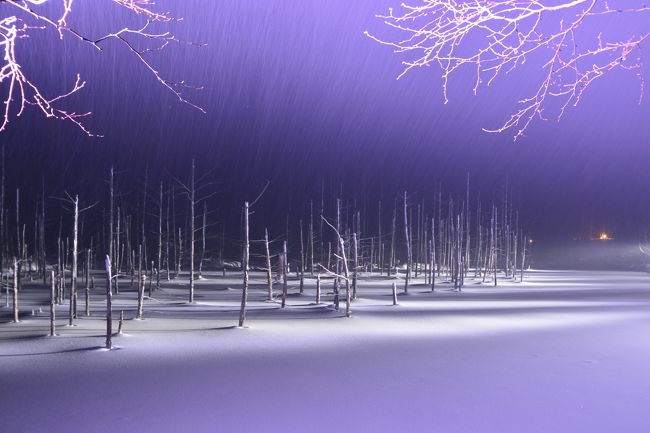 実はこうみえて、結構降ってます。