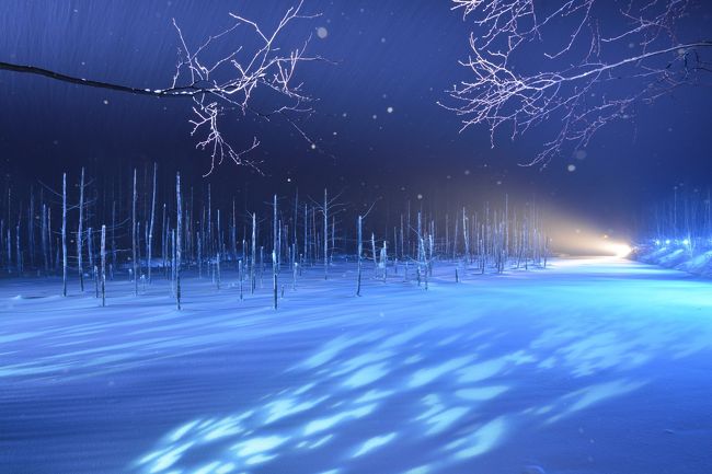 寒い中、気付いたら一時間が経過していましたー。