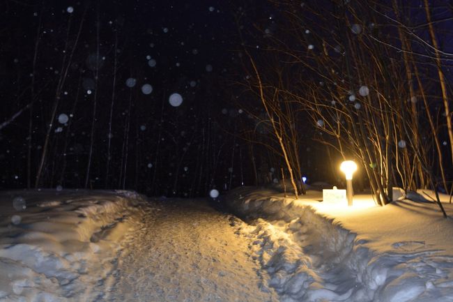 ホテルにチェックインの後、青い池へ。<br />青い池に続く路は優しい光が足元を照らしてくれます。<br />さて、今回はどのような表情を見せてくれるのでしょうか…。
