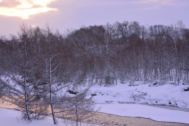 翌朝。<br />天気予報は晴れのち曇り。<br />ダイヤモンドダストを期待して出かけますが…<br />残念ながら厳しそうです。
