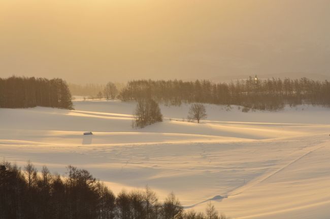 美瑛に来てよかった…<br />と心から思わせる瞬間です。