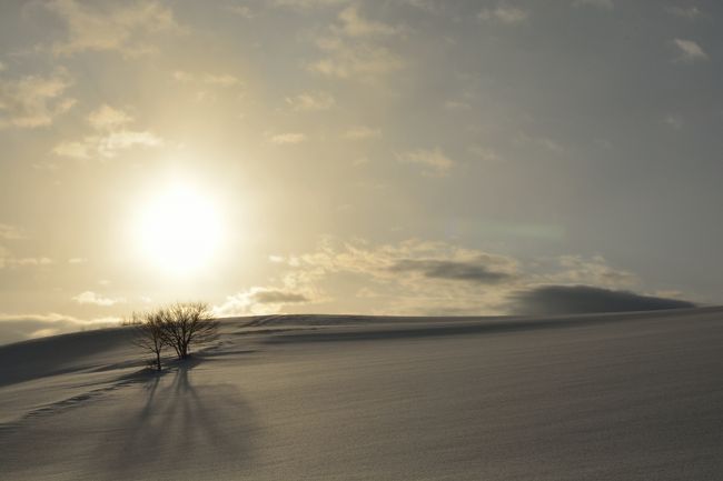 昨日とは全く違う表情を見せてくれます。