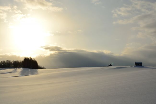 イイ１日になりそうです。