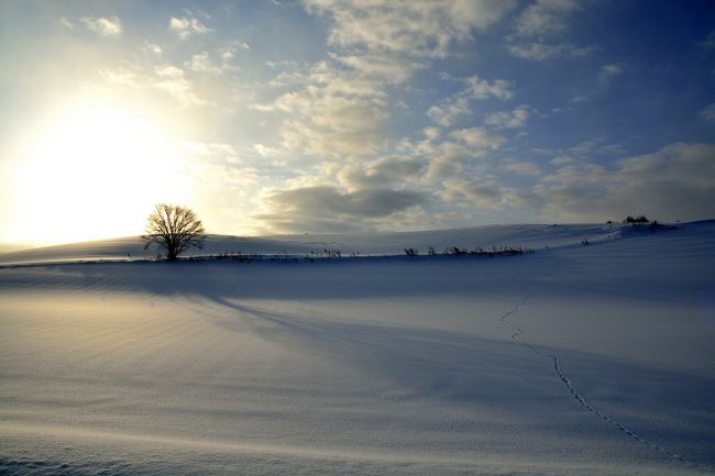影もなが-いです。
